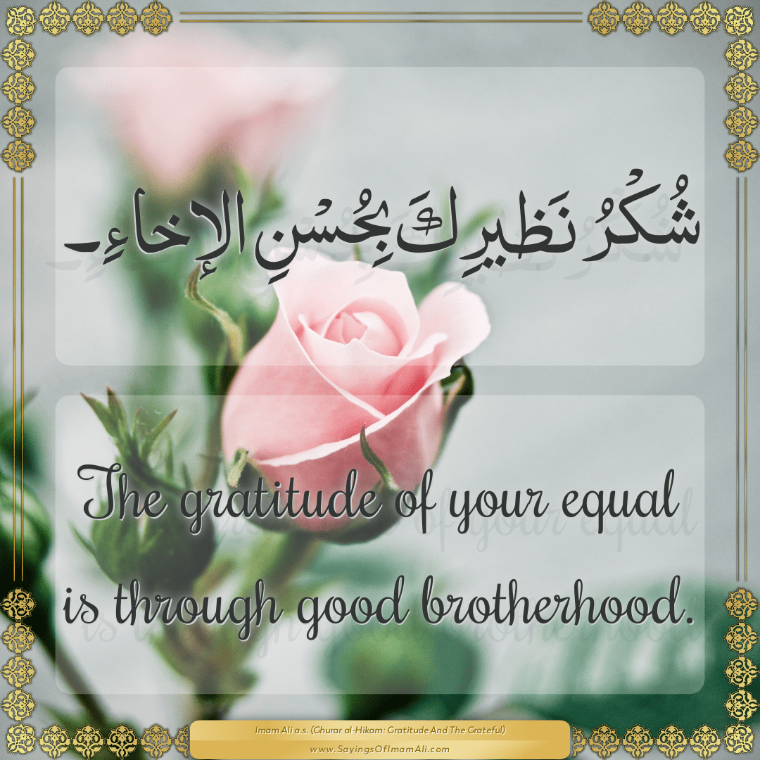 The gratitude of your equal is through good brotherhood.
